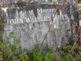 image of grave number 206071