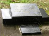 image of grave number 206075