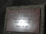image of grave number 118003