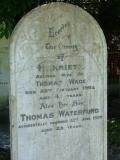 Maori War and Early Settlers