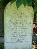 Maori War and Early Settlers
