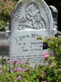 image of grave number 810234