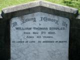 image of grave number 810245