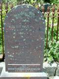 image of grave number 810270