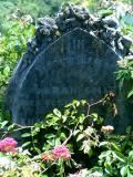image of grave number 810266