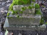 image of grave number 488350