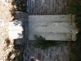 image of grave number 829830