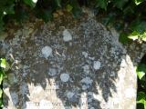 image of grave number 829740