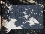 image of grave number 829806