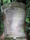 image of grave number 934943