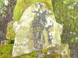 image of grave number 634278