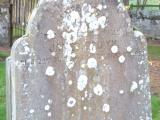 image of grave number 607536