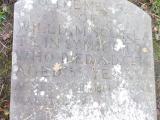 image of grave number 607537