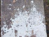 image of grave number 607537