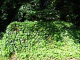 Warriston section N