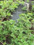 image of grave number 175698