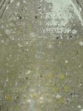 image of grave number 175784