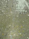 image of grave number 139036