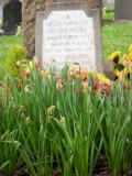 image of grave number 175915