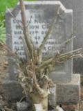 image of grave number 139232