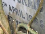image of grave number 139232
