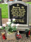 image of grave number 176009