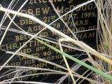 image of grave number 139395