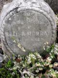 image of grave number 176244