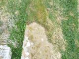 Old Graveyard