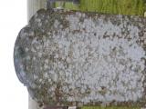 image of grave number 751154