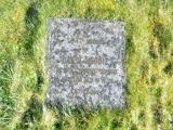 image of grave number 571006