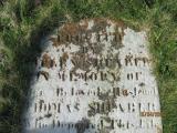 image of grave number 571398