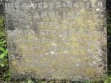 image of grave number 179868