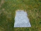 image of grave number 621110