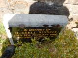 image of grave number 621548