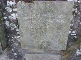 image of grave number 621041