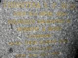 image of grave number 180173