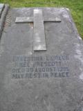 image of grave number 66447