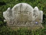 image of grave number 373706