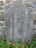 St David