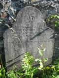 St David