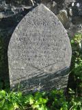 St David
