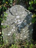 St David