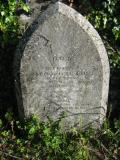 St David