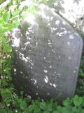 St David