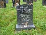 image of grave number 590160