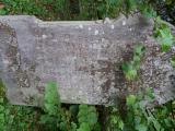 Llanychwllydog