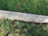 image of grave number 738368
