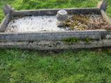 image of grave number 738376