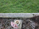 image of grave number 738455